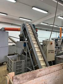 Frantoio oleario Pieralisi