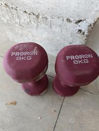 Manubri da 8kg