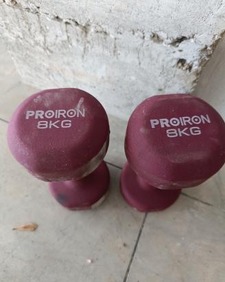 Manubri da 8kg