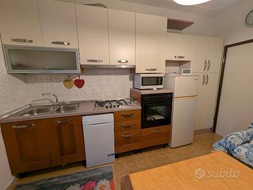 Cucina lineare moderna bicolore