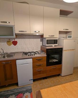 Cucina lineare moderna bicolore