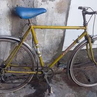 Bicicletta Legnano 24'' Condorino