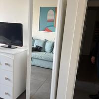 Terraneo - mobile con anta telaio a specchio.