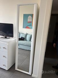 Terraneo - mobile con anta telaio a specchio.