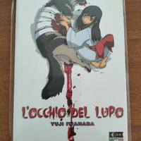 Occhio del lupo Love love