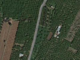 Corchiano - Aliano - Santa Bruna - Vignanello