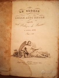 le glorie belle arti palazzo brera