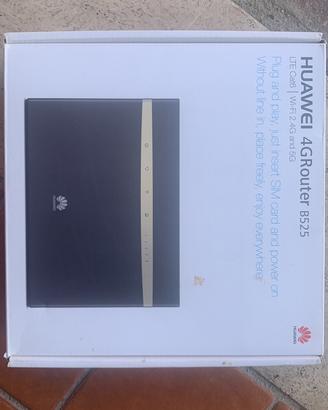 Router 4G+