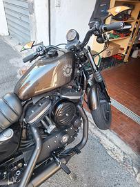 Harley 883 Iron 2020