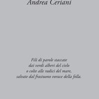 Libro "Notazioni anonime" di Andrea Ceriani