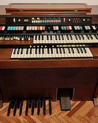 Organo Hammond 8122M del 1978