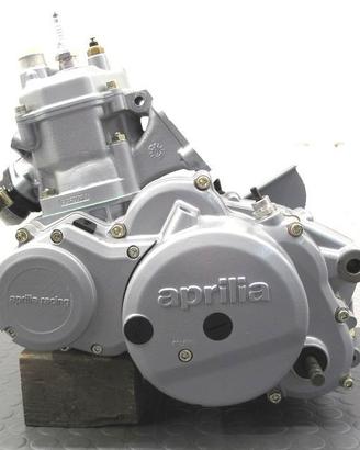 Motore Revisionato Rotax 123 Aprilia 125 1990