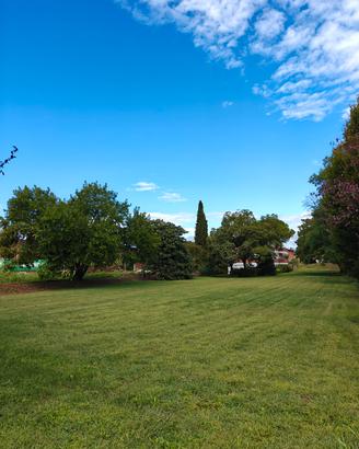 Manutenzione del verde