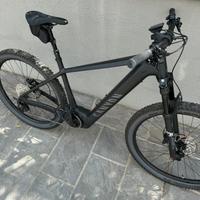 E-BIKE  Grand Canyon ON 8.0.