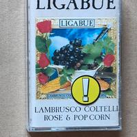 Ligabue – Lambrusco coltelli rose & pop corn