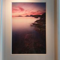 Delicata foto d'autore