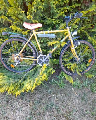 biciclette mtb