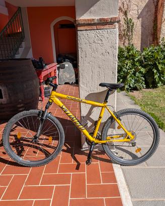 bicicletta specialaized hardrock