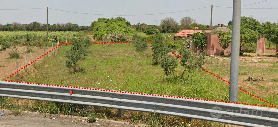 Vendita terreno agricolo - Vista 3