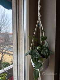 Portavaso appeso in macramè fatto a mano