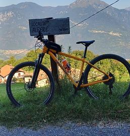 Mtb cannondale trail 5