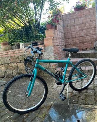Bicicletta Mountain bike uomo