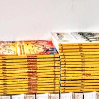 Lotto Topolini nuovi e semi nuovi