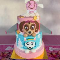 Torta finta skye paw patrol
