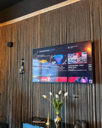 Smart TV LG 55”, QNED 4K, AI, garanzia