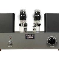 Amplificatore valvolare Bolisum 300B SE