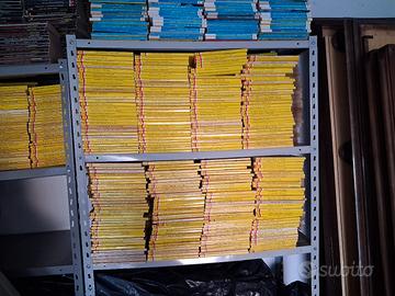 Grande collezione di Libri Gialli