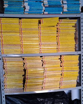 Grande collezione di Libri Gialli