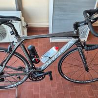 Orbea