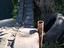 Immagine 3