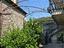 Immagine 13
