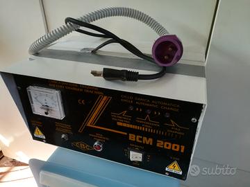 caricabatterie per camion 24 volt 