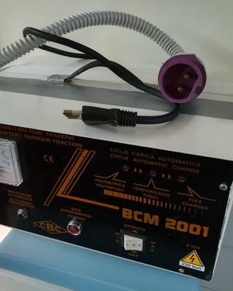 caricabatterie per camion 24 volt 