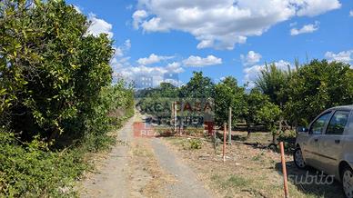 Terreno Agricolo - Calatabiano