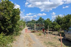 Terreno Agricolo - Calatabiano