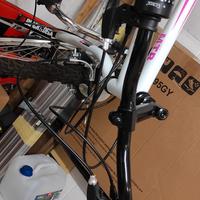  2 rampichini da donna per 10/15 anni