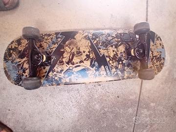 Skateboard