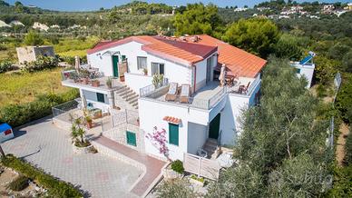 Vieste - per le tue vacanze al mare di Pizzomunno