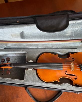 Violino