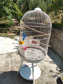 gabbia per uccelli 
