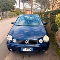 Volkswagen Pollo