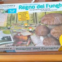 Gioco da tavolo Regno dei Funghi Lisciani giochi