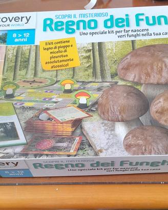 Gioco da tavolo Regno dei Funghi Lisciani giochi