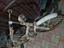 Immagine 2