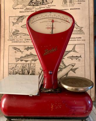 Bilancia berkel modello 900