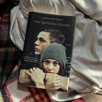 Uno splendido disastro, Jamie Mcguire